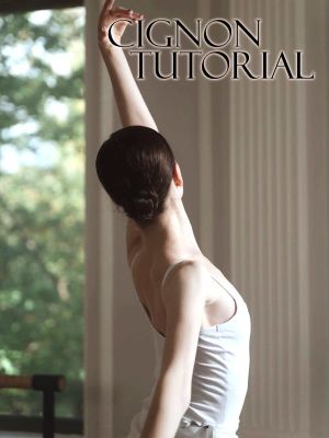 Tutorial Chignon